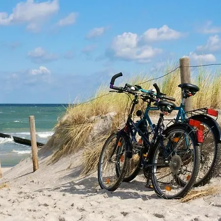 Ostsee Robbe * Brasilien