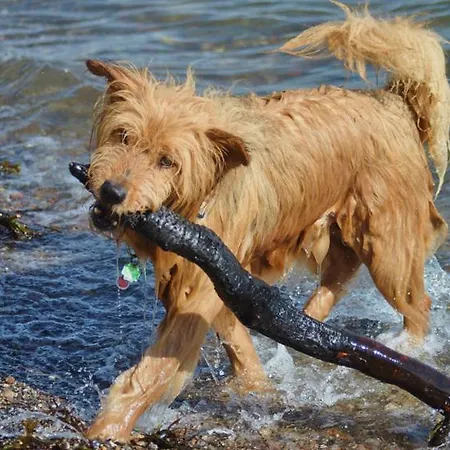 Σπίτι διακοπών Ostsee Robbe