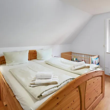 Ostsee Robbe Brasilien