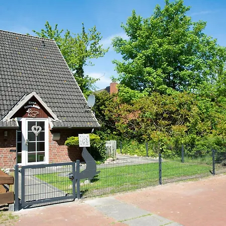 Ostsee Robbe Brasilien